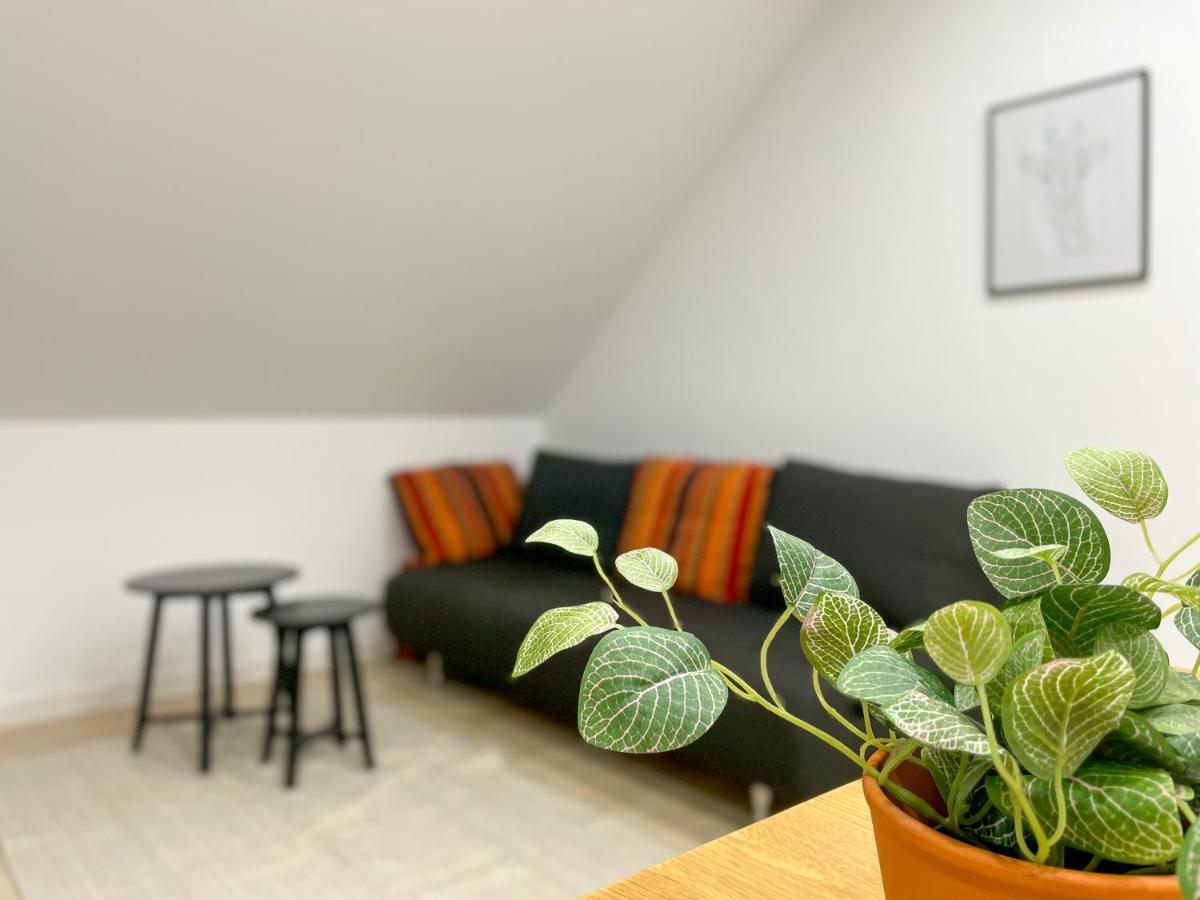 Ferienwohnung Schoenes Maifeld Polch ภายนอก รูปภาพ